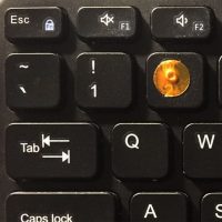 Loc Dot - 6 Pack - Transparent Orange - Keyboard Display